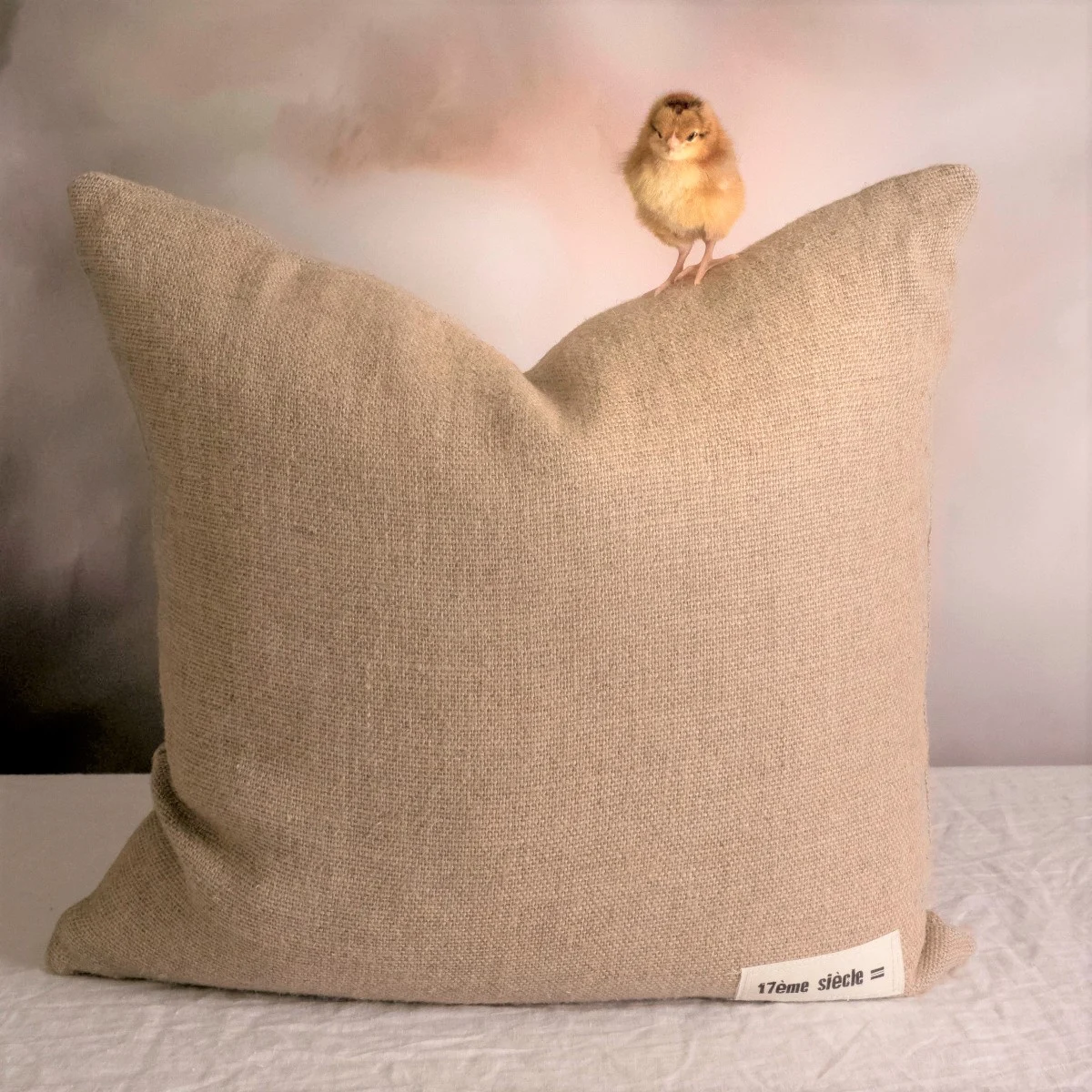 French Consul rustic linen cushion